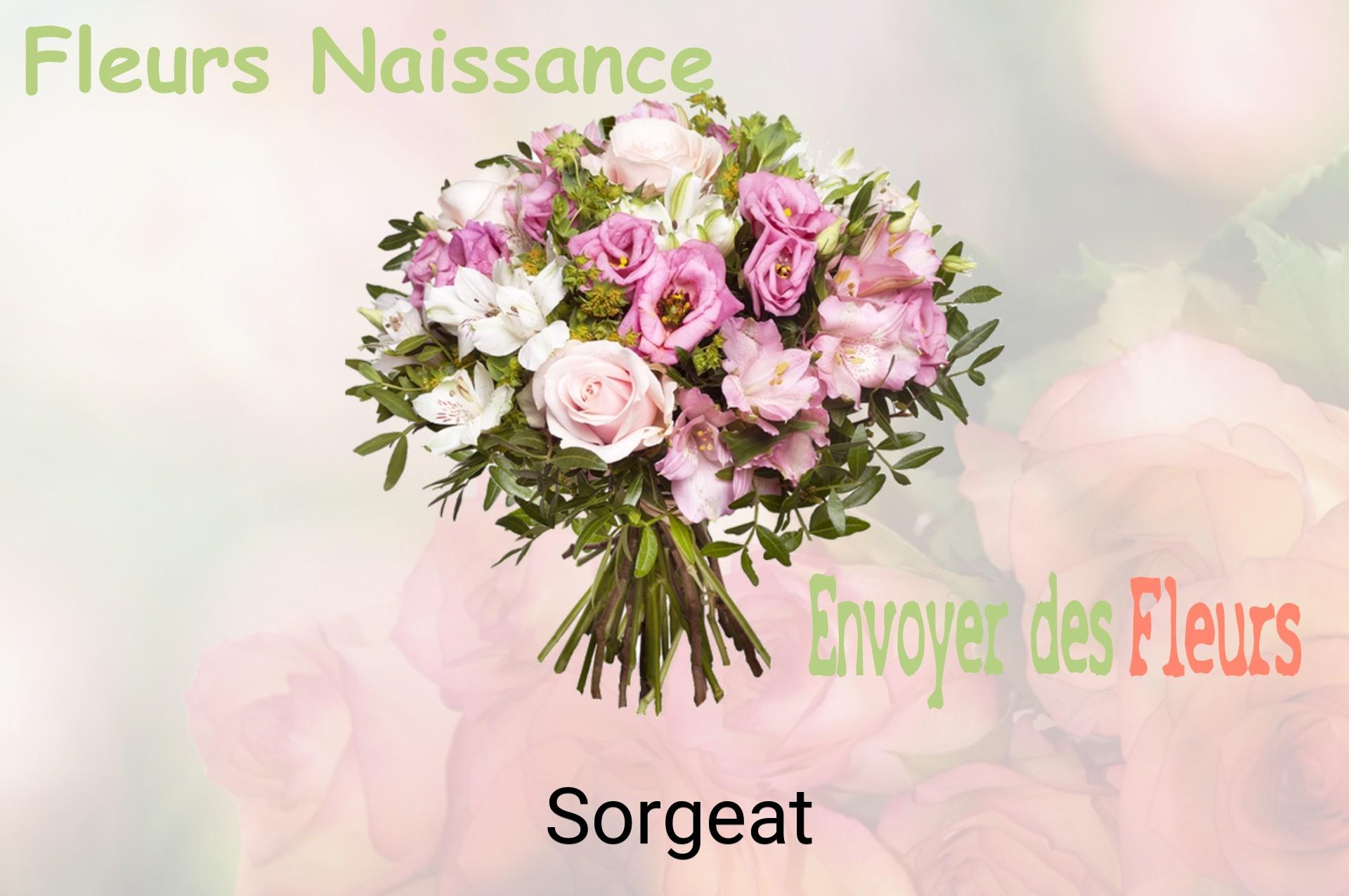 Bouquet de fleurs de naissance livré à Sorgeat